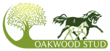 Oakwood Stud
